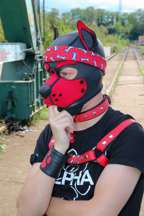 Skylar the cute Puppy star pornographic archive