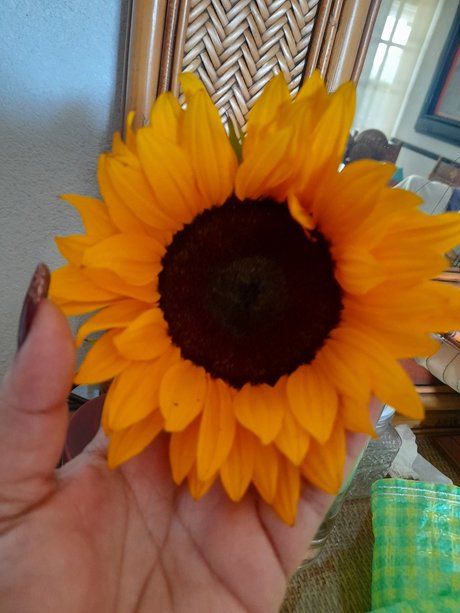 _Ojitos_ sexy star image