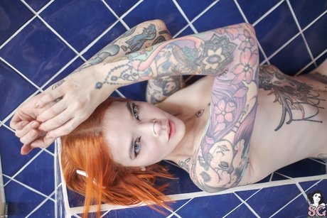 Ni a gato star best photo