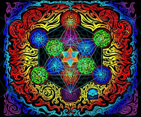 Stevie Lee star best pics