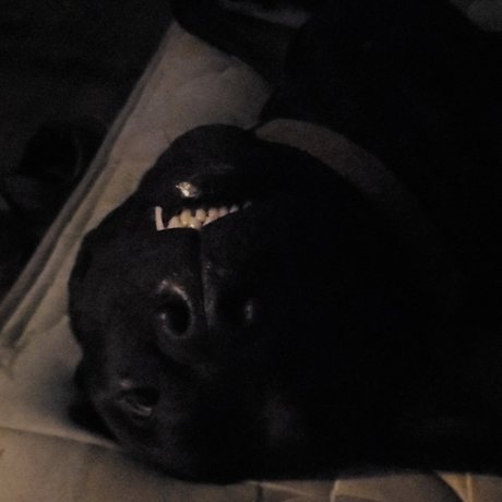 Gaven pretty actress photo