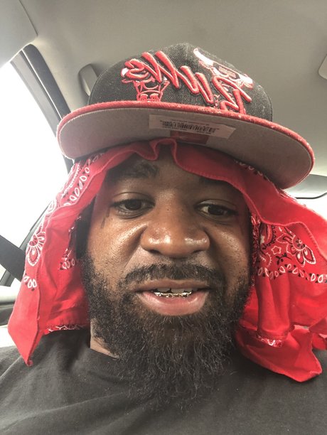 King dick dick model hd gallery