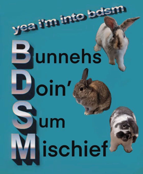 _Ocean_ top model img