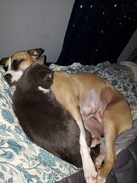 onlytabs model pretty archive