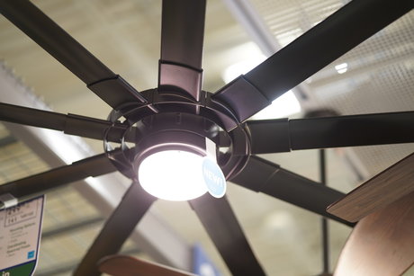 Austin Zeli best actress image