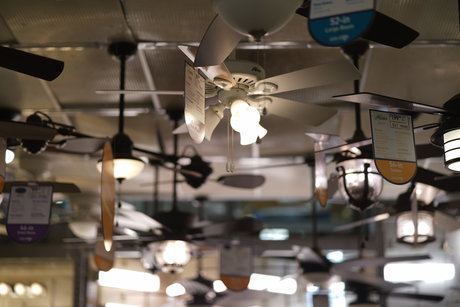 Austin Zeli star high quality archive