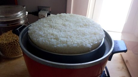 OnlyFeesh star perfect img