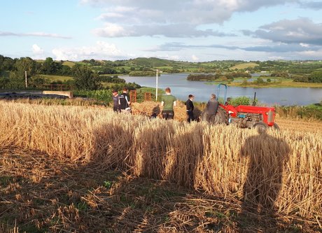 OnlyFarms star pornographic pic