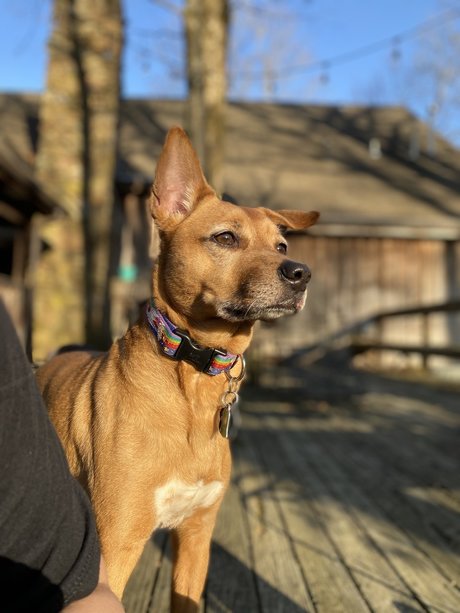 Kat G nude actress img