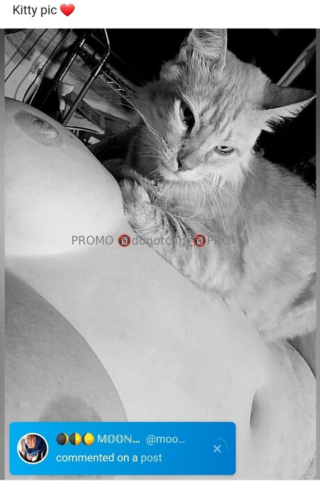 One Sweet One_ star best galleries