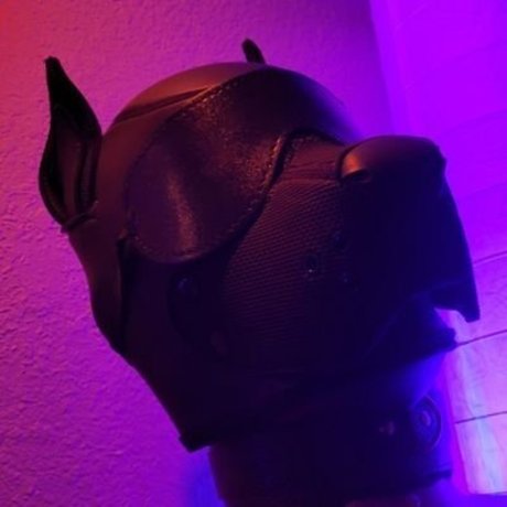 OneStretchyPup model exclusive images