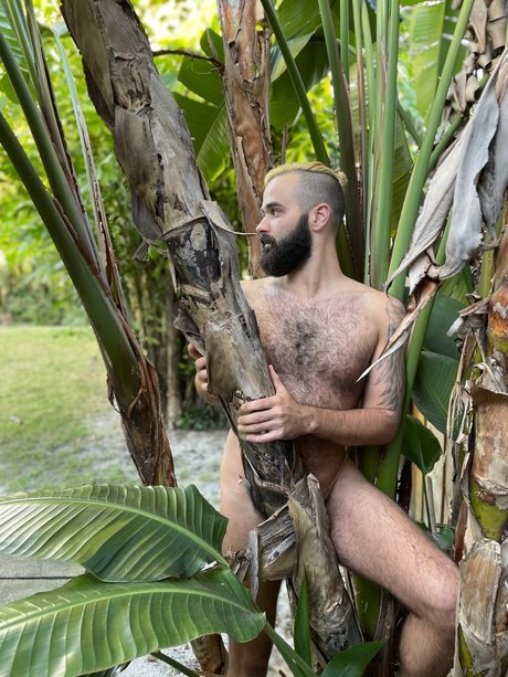 Abe Monroe star perfect pictures