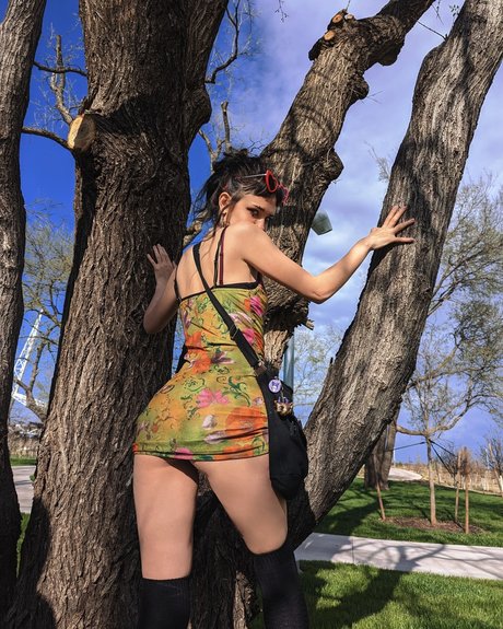 AcaciaThorn pornographic star img