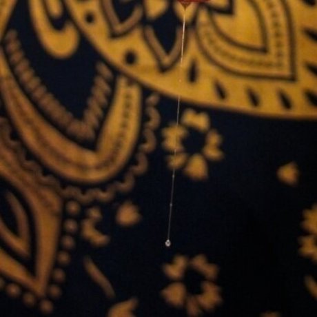 Acceptable Pervert exclusive star photo