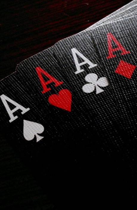 TheAce perfect model gallery