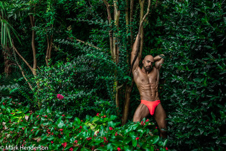 Adam Snow hot star picture