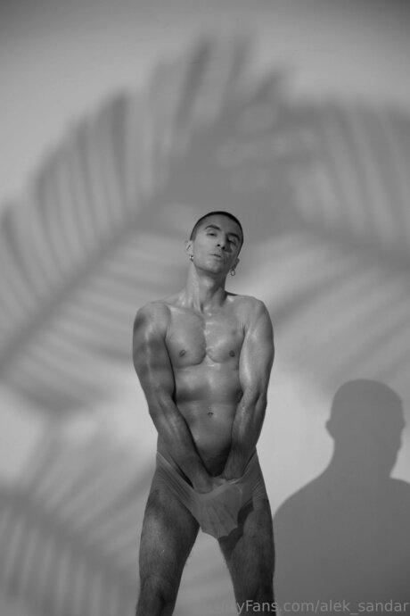 Alek Sandar pornstar high quality photo