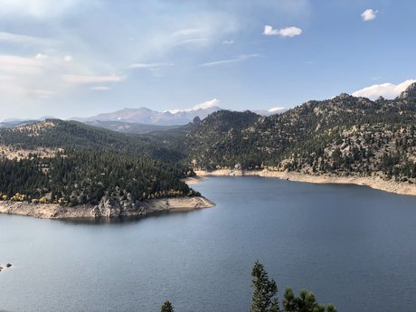 Paco Savage model adult pictures