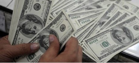 7 inch cocky guy_ star hot gallery