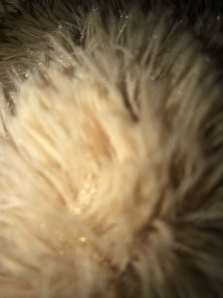 Dany9111 sexy star pictures