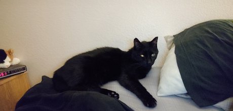 Outsdr hot star images