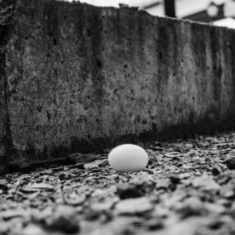 LE CREEP star beautiful pics