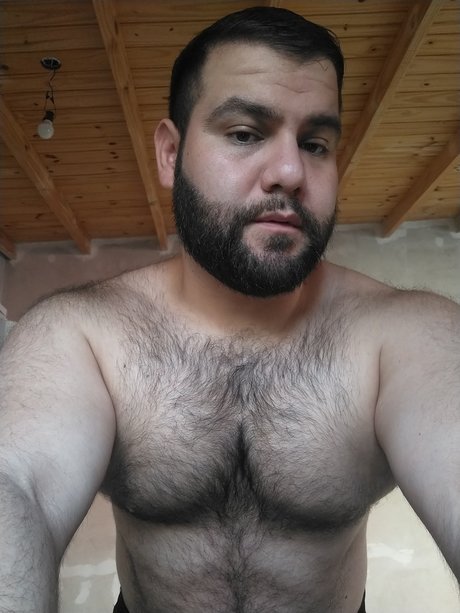 Wally star perfect img