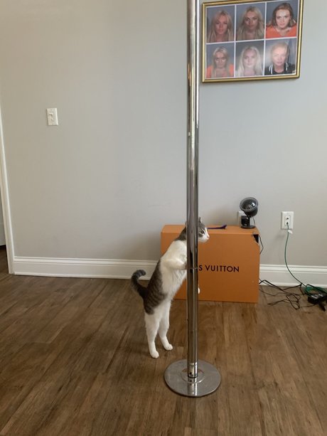 el osito best actress pic