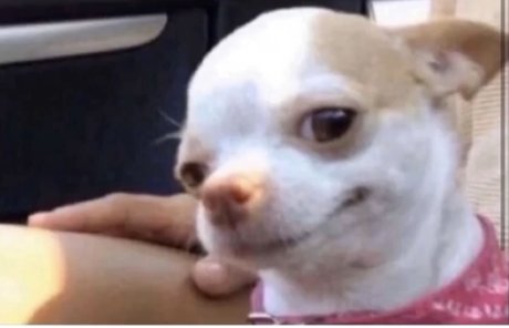 Orrion beautiful actress photos