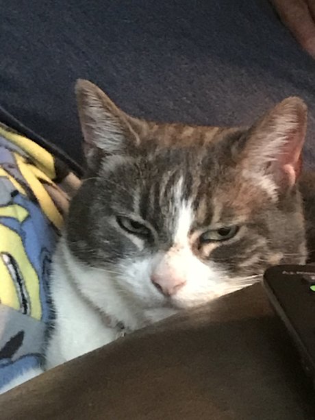 Pussyeater beautiful pornstar galleries