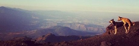 Orion_ art model galleries