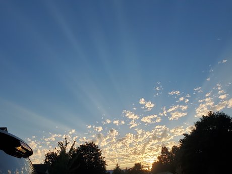 Oregongrl33 porn actress img