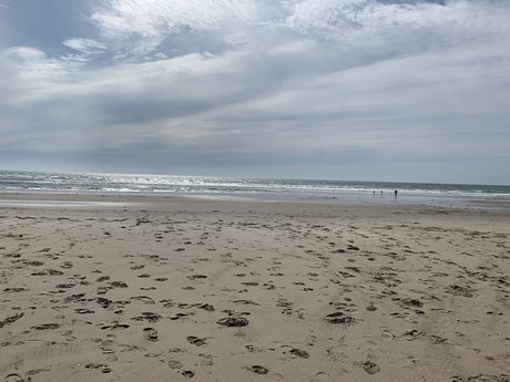 Oregongay hd pornstar pictures