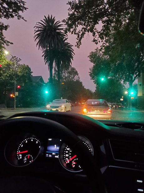 Mr Rose City_ model beautiful pics