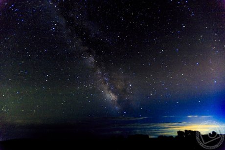 OPP Charlie star hot gallery