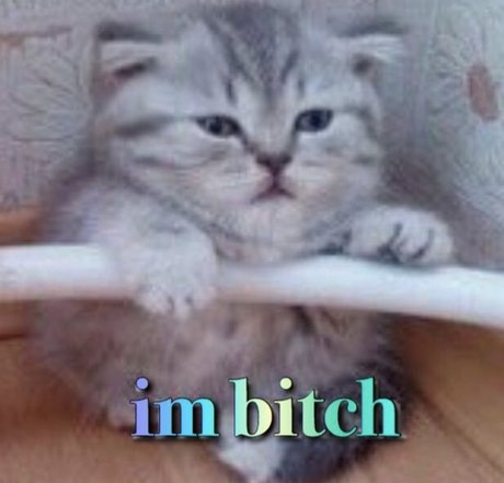 phoenix princess xxx pornstar archive