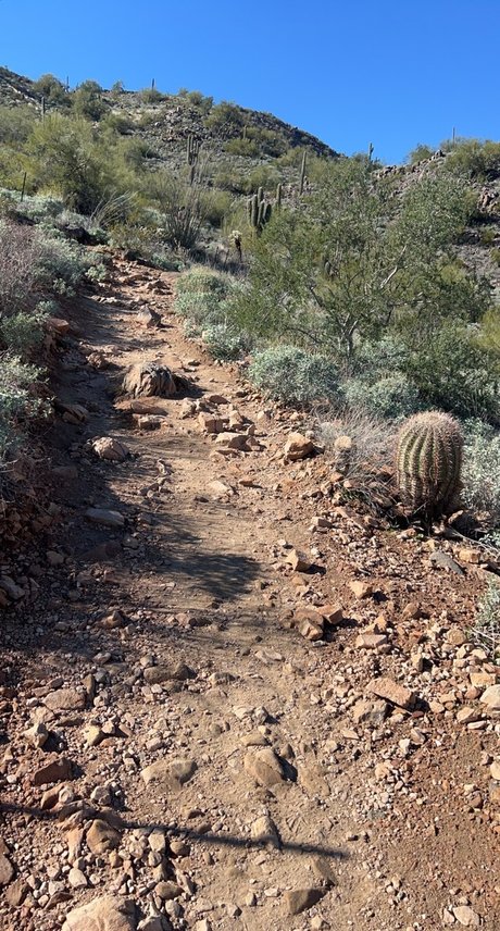 OnyxSton3 model nice picture