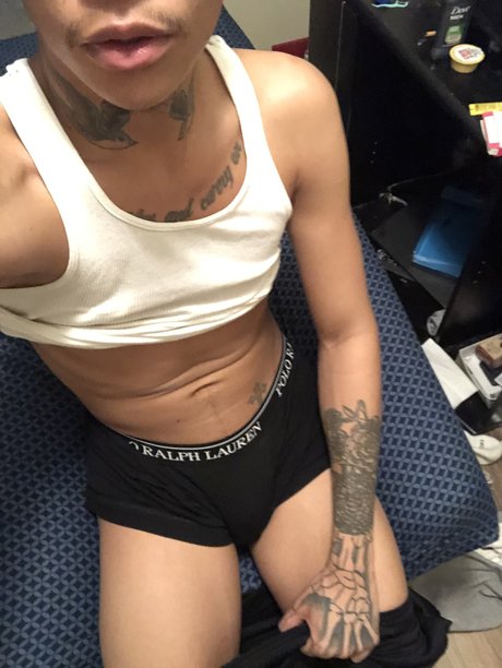 Ace Chilly star nice archive