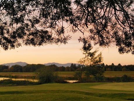 _POPI_ porn star image