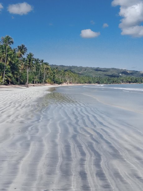 Patsy Labone pornstar best pics