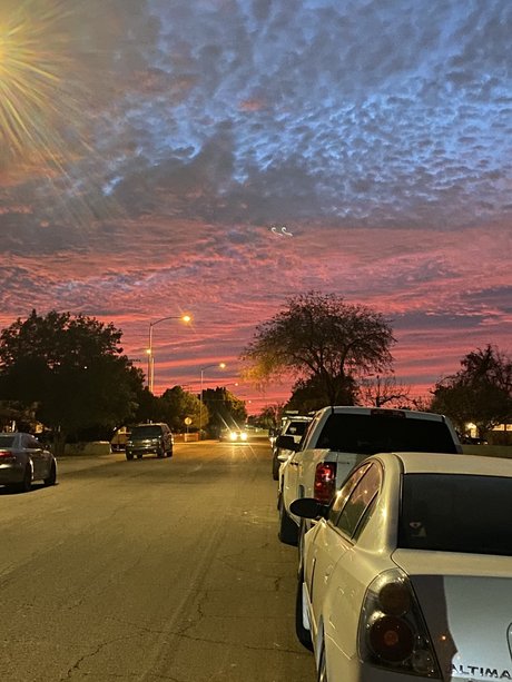 Timothy pornstar perfect pics