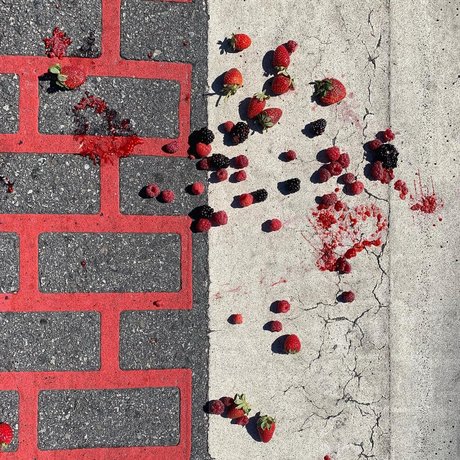 Papillon pornstar high quality pic