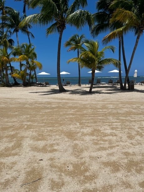 Papi Gambino xxx actress photos