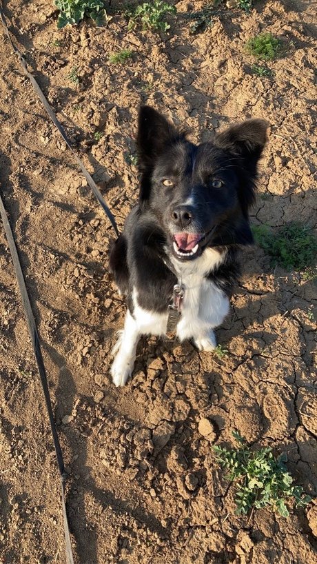 Andrejka hot model pic