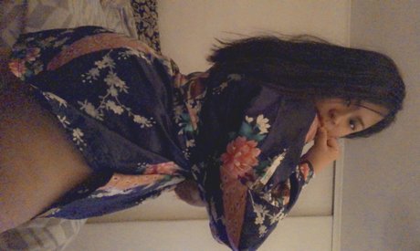 Pakham model art gallery