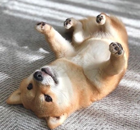 asherahsweetie_ adult star galleries