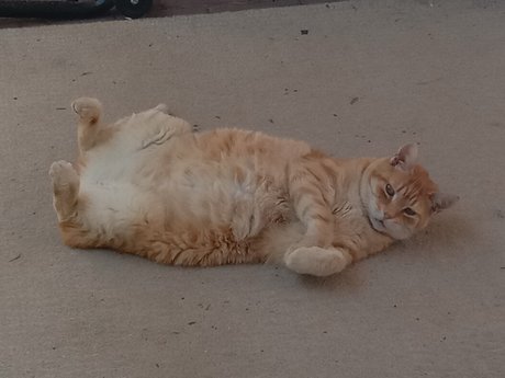 Domain8 photography nudes pornstar gallery