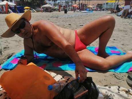 Sleepy Bear model free images