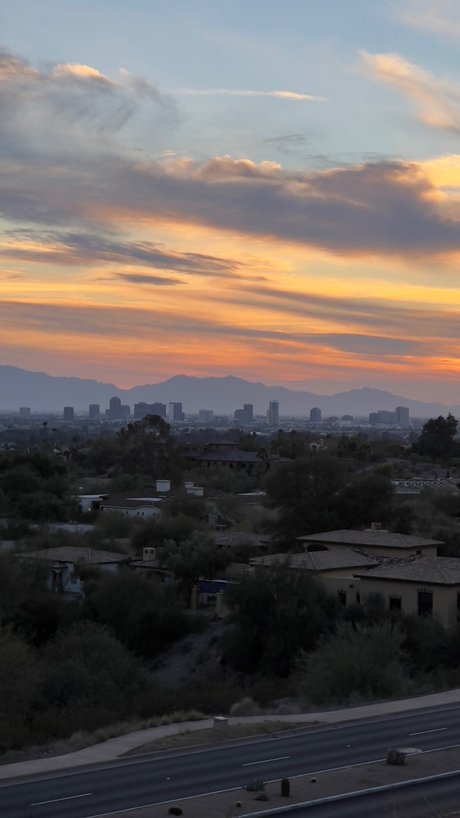 Penguin porn model photos