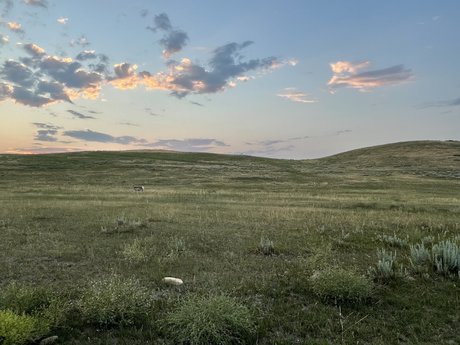 Deek star high quality image